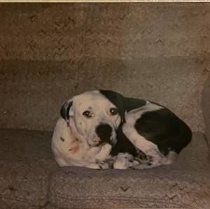 Meet your Posher, Leon